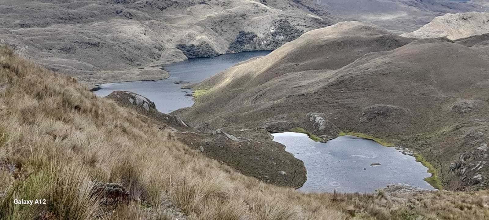 CAJAS 1 (7)